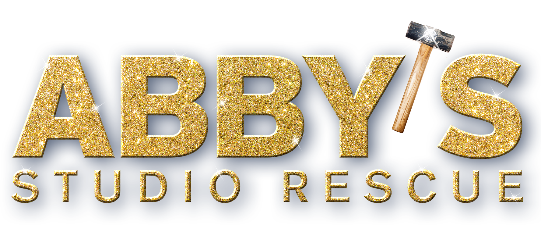 Abby_s-Studio-Rescue-4